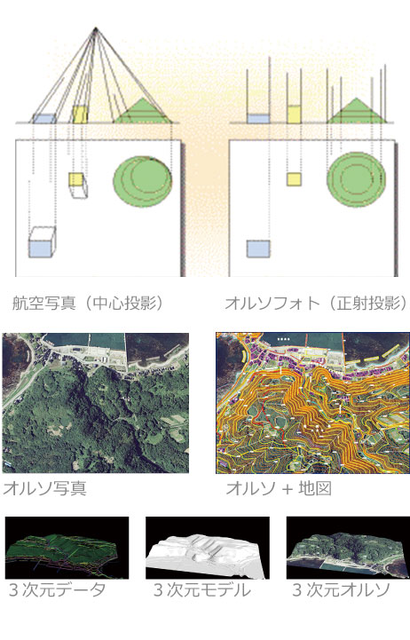 中野技術の図化編集